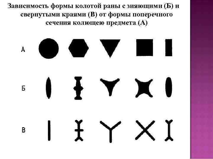 Зависимость формы колотой раны с зияющими (Б) и свернутыми краями (В) от формы поперечного