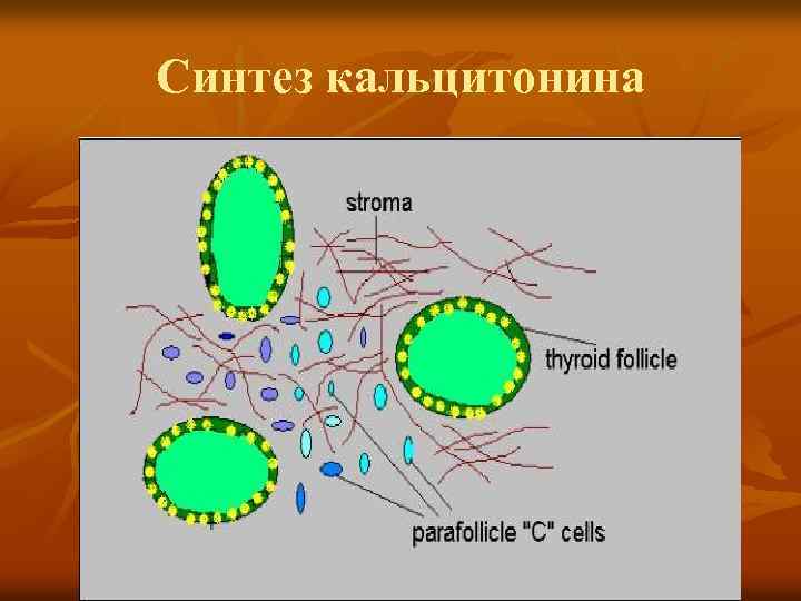 Синтез кальцитонина 