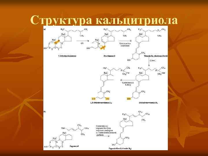 Структура кальцитриола 