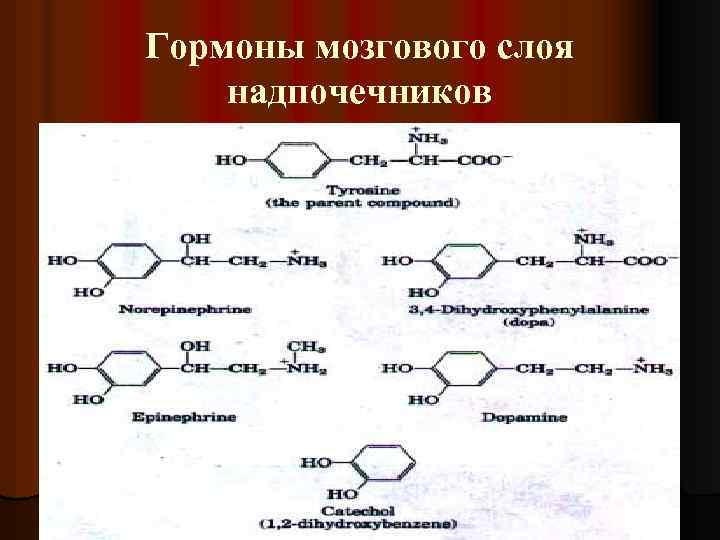 Гормон мозгового. Синтез гормонов мозгового слоя надпочечников. Реакции синтеза гормонов мозгового слоя надпочечников. Формула гормонов мозгового слоя надпочечников. Гормоны мозгового слоя надпочечников биохимия.