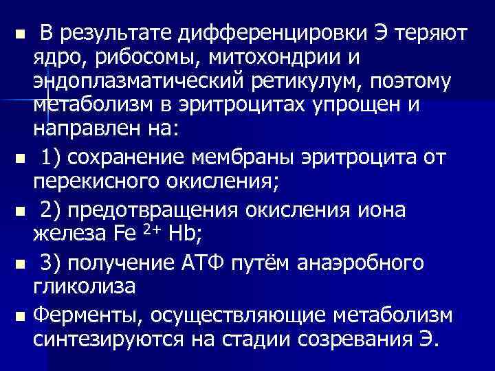 В результате дифференцировки Э теряют ядро, рибосомы, митохондрии и эндоплазматический ретикулум, поэтому метаболизм в