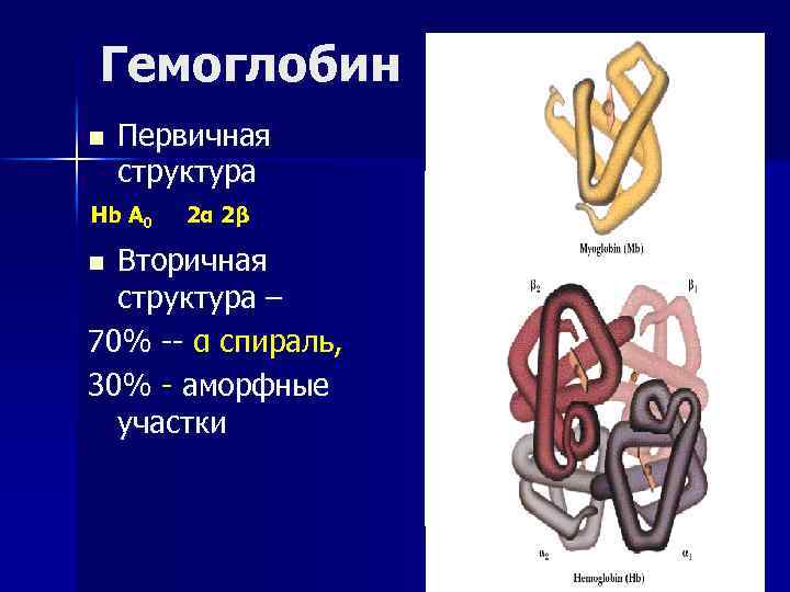 Гемоглобин n Первичная структура Hb A 0 2α 2β Вторичная структура – 70% --