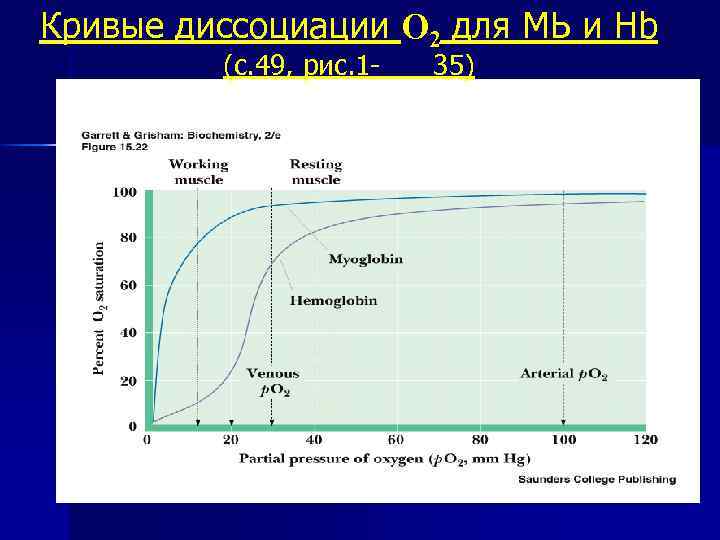 Кривые диссоциации О 2 для MЬ и Hb (с. 49, рис. 1 - 35)