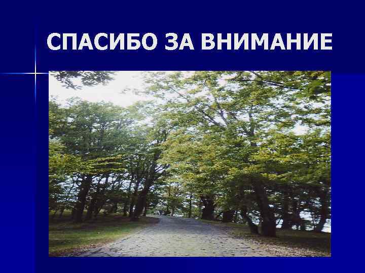 СПАСИБО ЗА ВНИМАНИЕ 