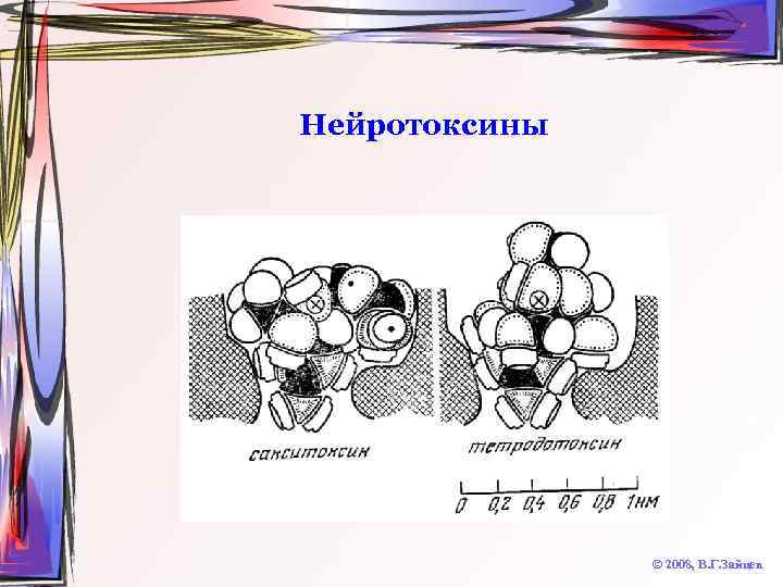 Нейротоксины © 2008, В. Г. Зайцев 