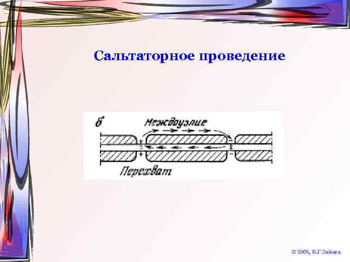 Сальтаторное проведение © 2008, В. Г. Зайцев 