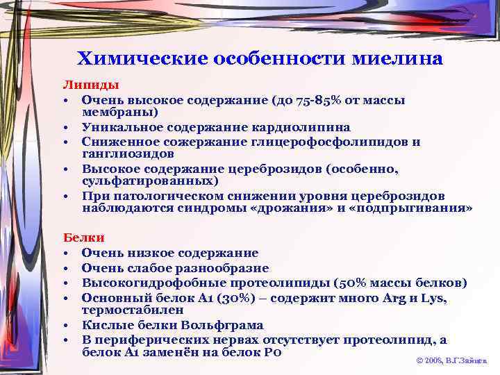 Химические особенности миелина Липиды • Очень высокое содержание (до 75 -85% от массы мембраны)