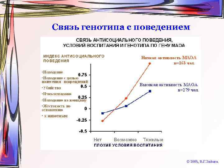 Связь генотипа с поведением © 2008, В. Г. Зайцев 