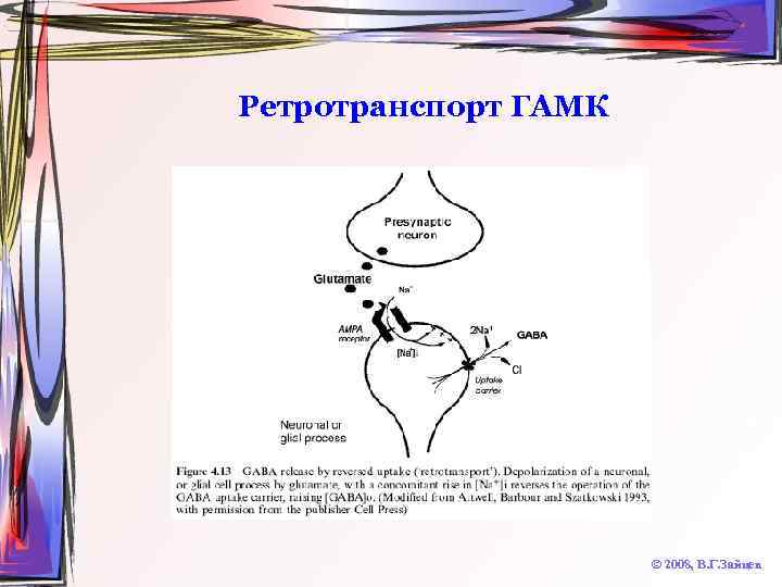 Ретротранспорт ГАМК © 2008, В. Г. Зайцев 