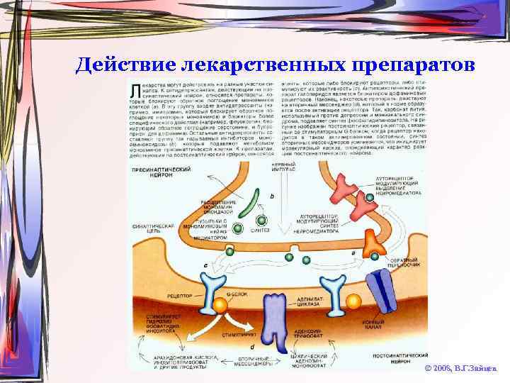 Действие лекарственных препаратов © 2008, В. Г. Зайцев 