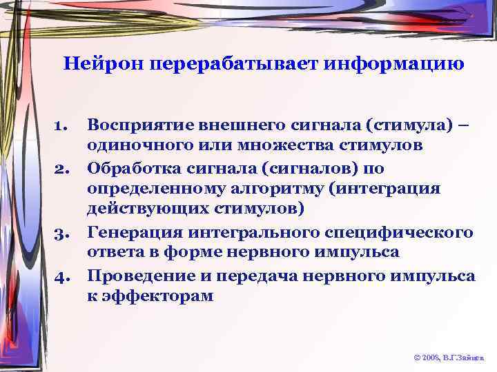 Нейрон перерабатывает информацию 1. 2. 3. 4. Восприятие внешнего сигнала (стимула) – одиночного или