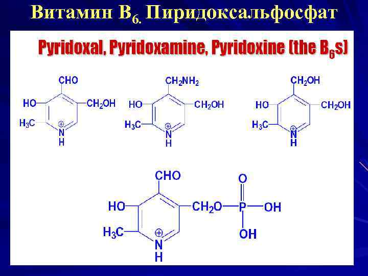 Витамин В 6. Пиридоксальфосфат 