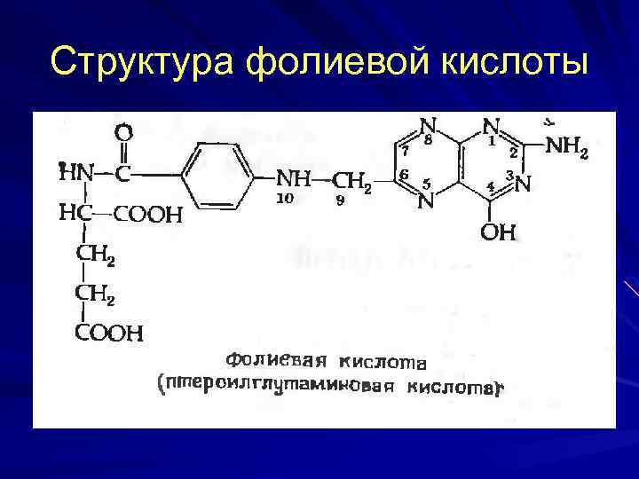 Структура фолиевой кислоты 