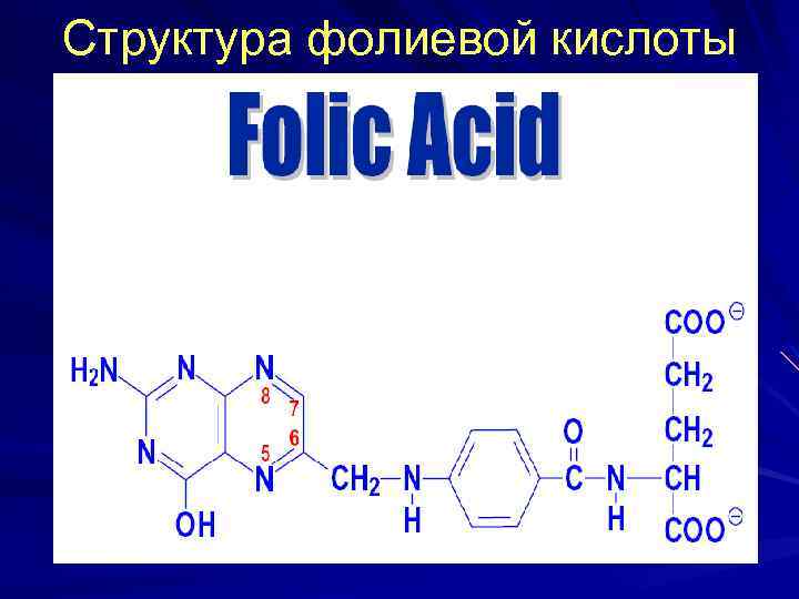 Структура фолиевой кислоты 