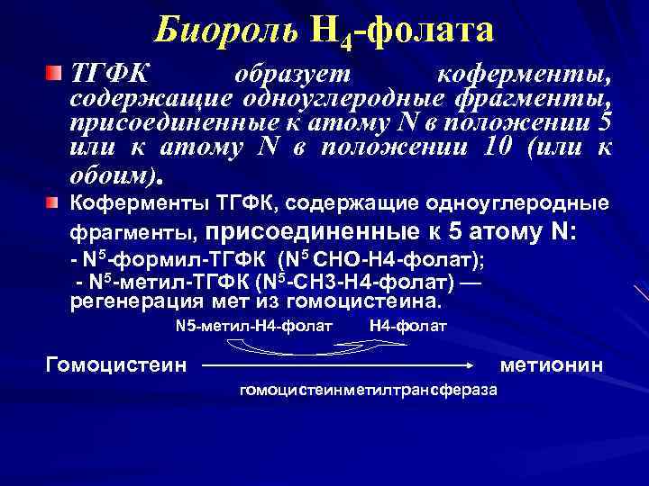 Биороль Н 4 -фолата ТГФК образует коферменты, содержащие одноуглеродные фрагменты, присоединенные к атому N