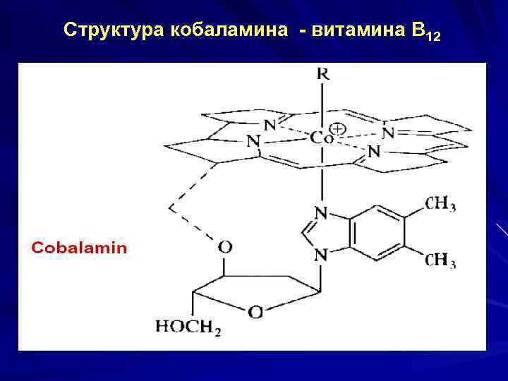 Структура кобаламина - витамина В 12 