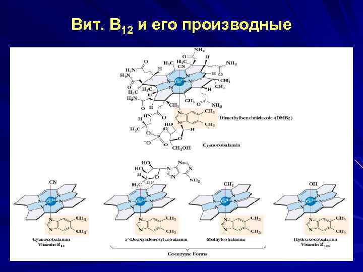 Вит. В 12 и его производные 