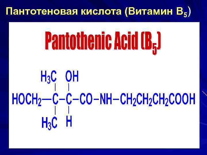 Пантотеновая кислота (Витамин В 5) 