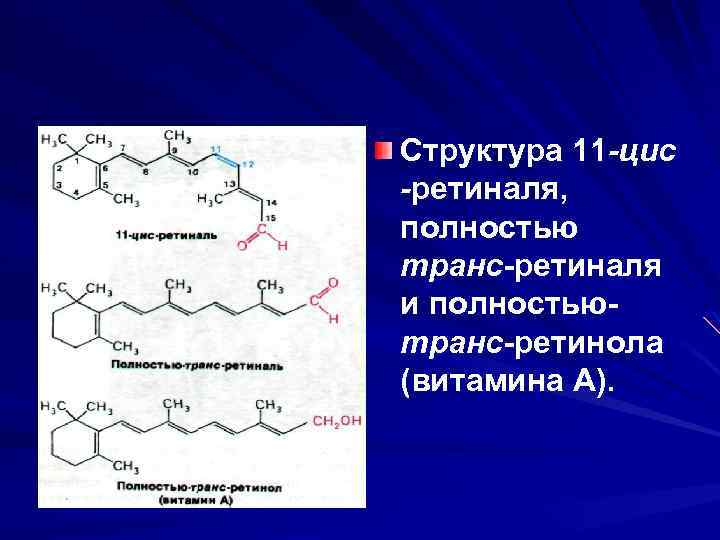 Структура 11 -цис -ретиналя, полностью транс-ретиналя и полностьютранс-ретинола (витамина А). 