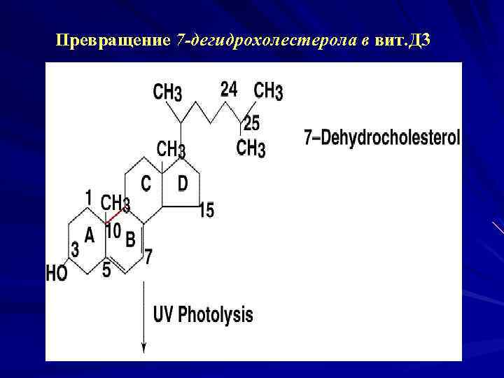 Превращение 7 -дегидрохолестерола в вит. Д 3 