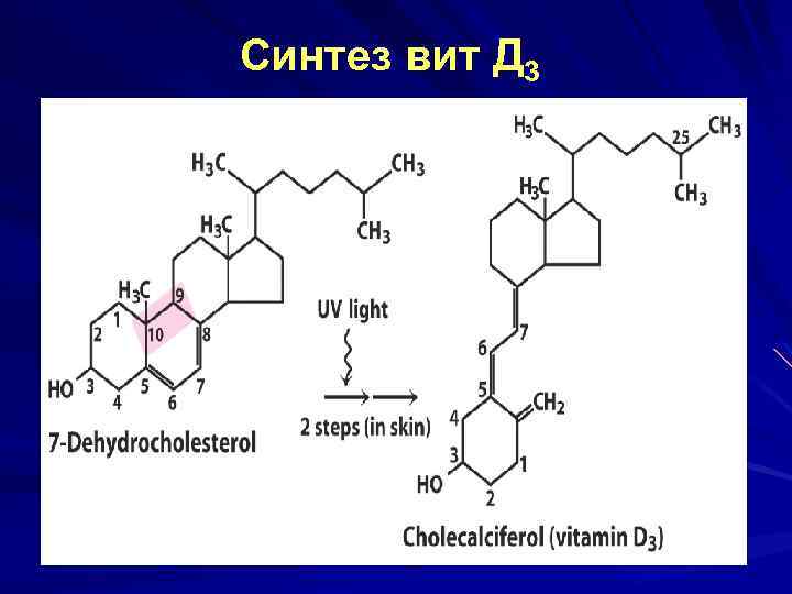 Синтез вит Д 3 