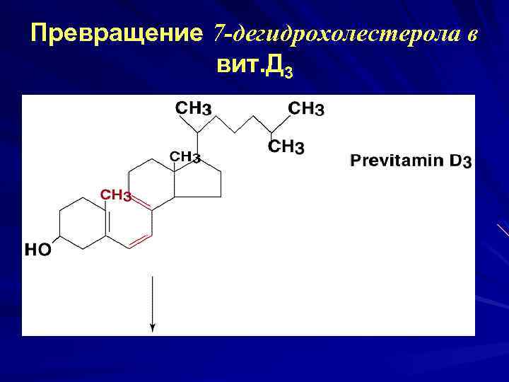 Превращение 7 -дегидрохолестерола в вит. Д 3 