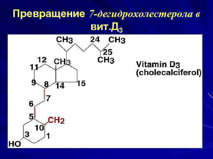 Превращение 7 -дегидрохолестерола в вит. Д 3 