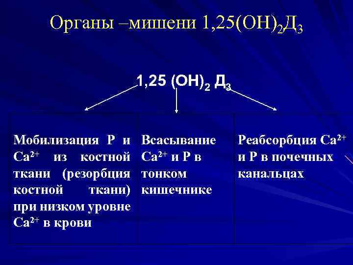 Органы –мишени 1, 25(ОН)2 Д 3 1, 25 (ОН)2 Д 3 Мобилизация Р и