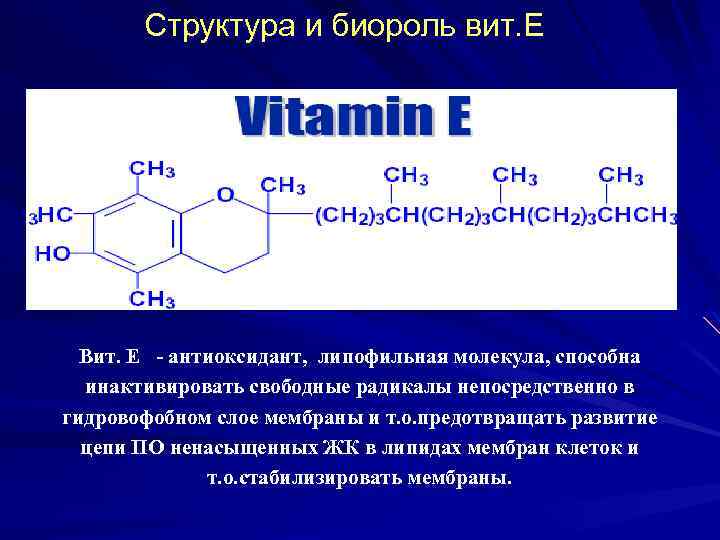 Структура и биороль вит. Е Вит. Е - антиоксидант, липофильная молекула, способна инактивировать свободные