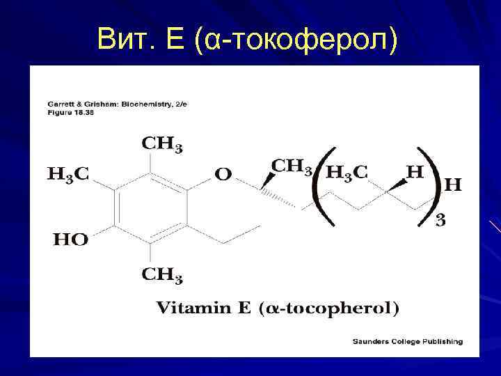 Вит. Е (α-токоферол) 