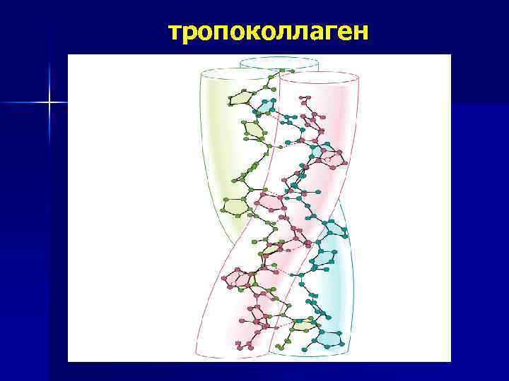 тропоколлаген 