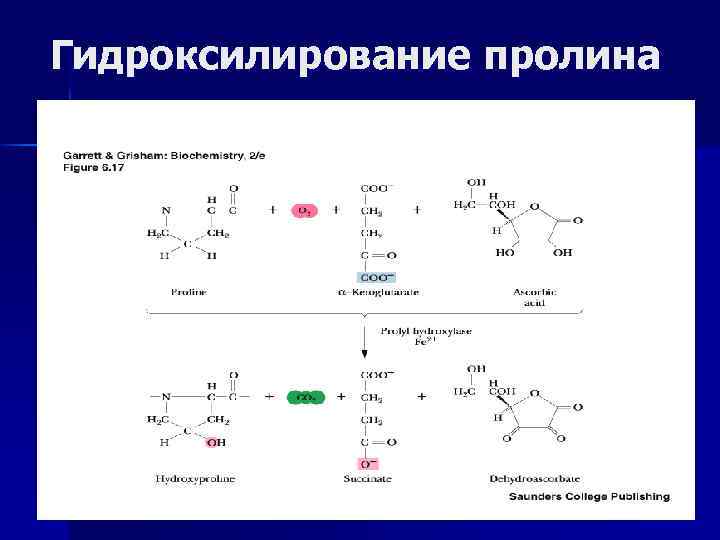 Гидроксилирование пролина 