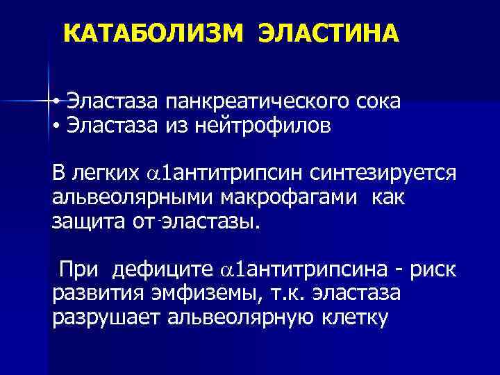 Что значит панкреатическая эластаза 500 у взрослого