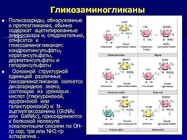 Гликозаминогликаны n n Полисахариды, обнаруженные в протеогликанах, обычно содержат ацетилированные аминосахара и, следовательно, относятся