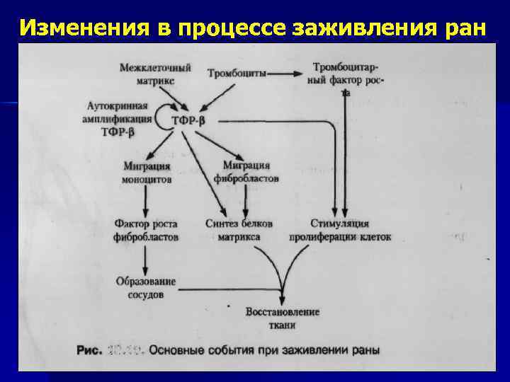 Изменения в процессе заживления ран 