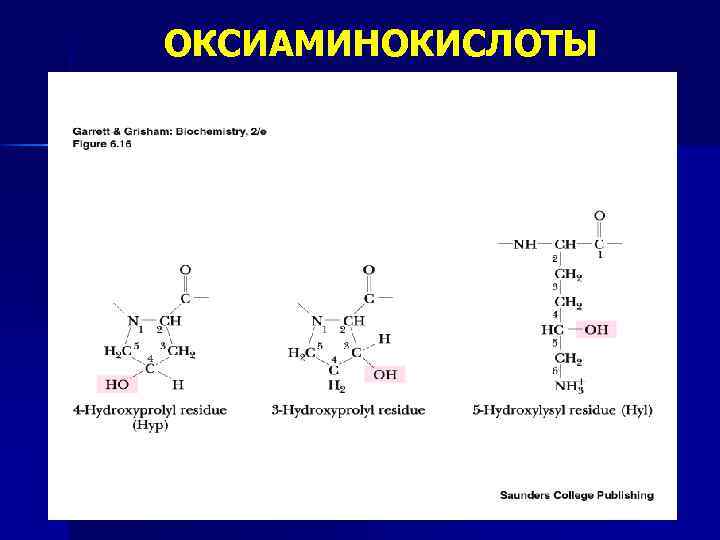 ОКСИАМИНОКИСЛОТЫ 