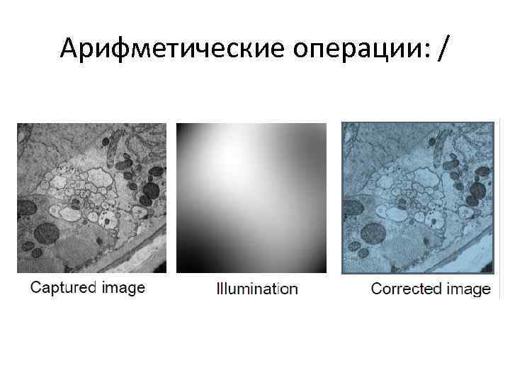 Арифметические операции: / 