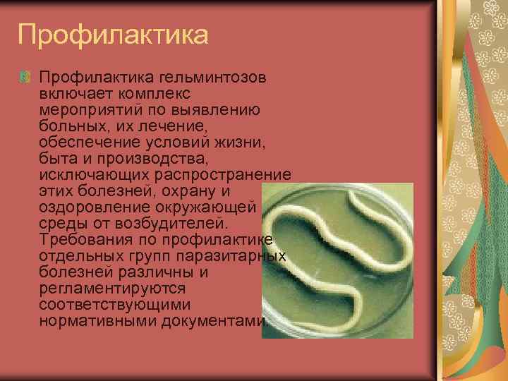Профилактика гельминтозов включает комплекс мероприятий по выявлению больных, их лечение, обеспечение условий жизни, быта