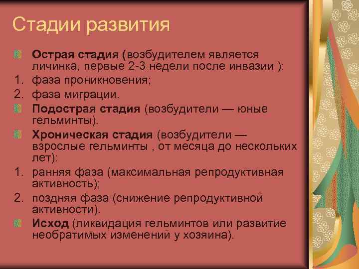 Стадии развития 1. 2. Острая стадия (возбудителем является личинка, первые 2 -3 недели после