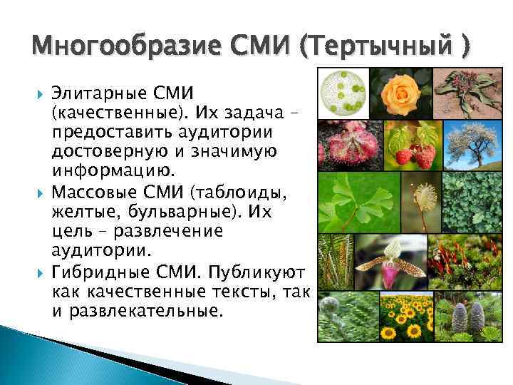 Многообразие СМИ (Тертычный ) Элитарные СМИ (качественные). Их задача – предоставить аудитории достоверную и