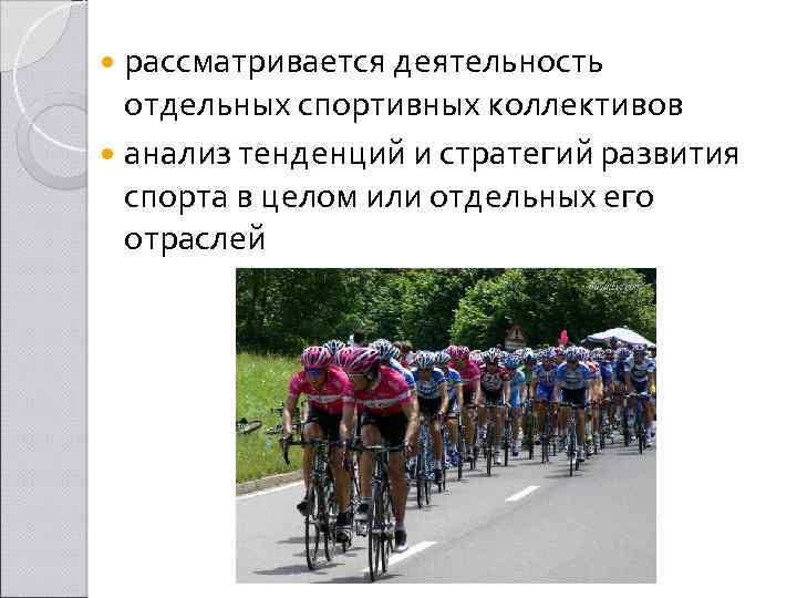  рассматривается деятельность отдельных спортивных коллективов анализ тенденций и стратегий развития спорта в целом