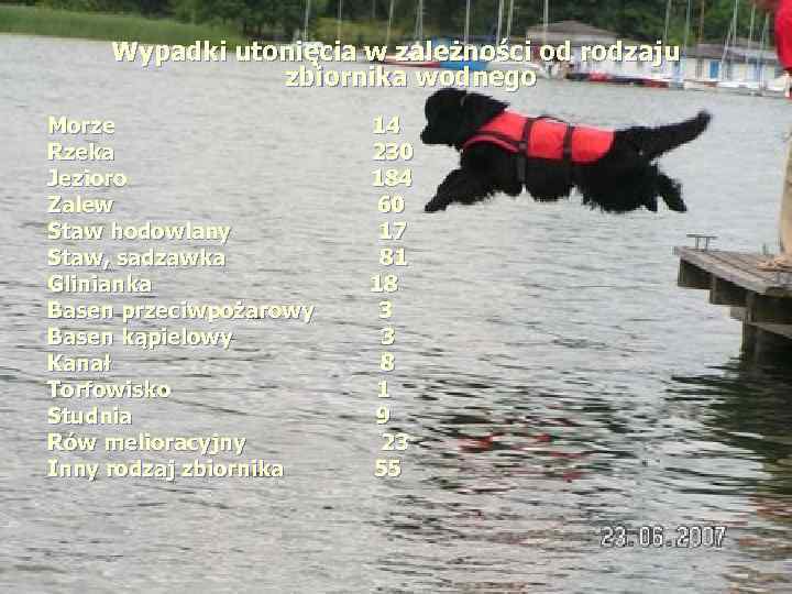  Wypadki utonięcia w zależności od rodzaju zbiornika wodnego Morze 14 Rzeka 230 Jezioro