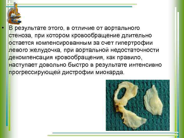  • В результате этого, в отличие от аортального стеноза, при котором кровообращение длительно