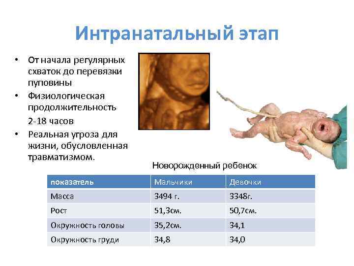 Интранатальный этап • От начала регулярных схваток до перевязки пуповины • Физиологическая продолжительность 2