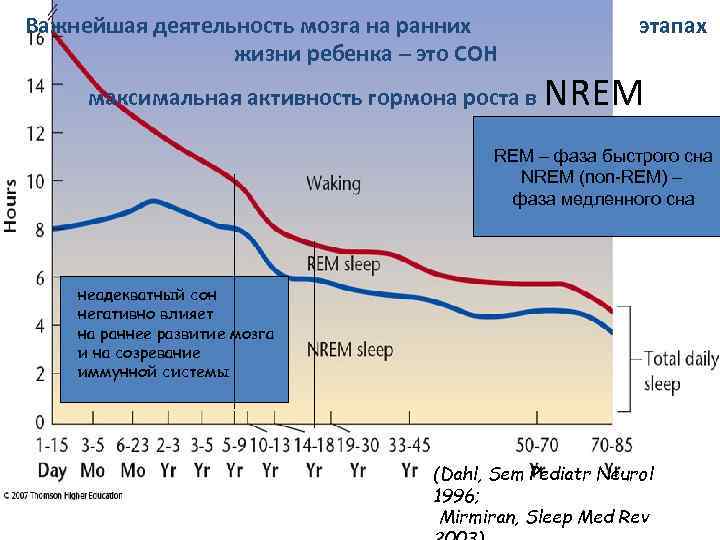 Важнейшая деятельность мозга на ранних жизни ребенка – это СОН максимальная активность гормона роста