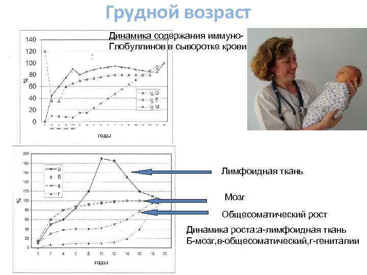 Грудной возраст Динамика содержания иммуно. Глобуллинов в сыворотке крови Лимфоидная ткань Мозг Общесоматический рост