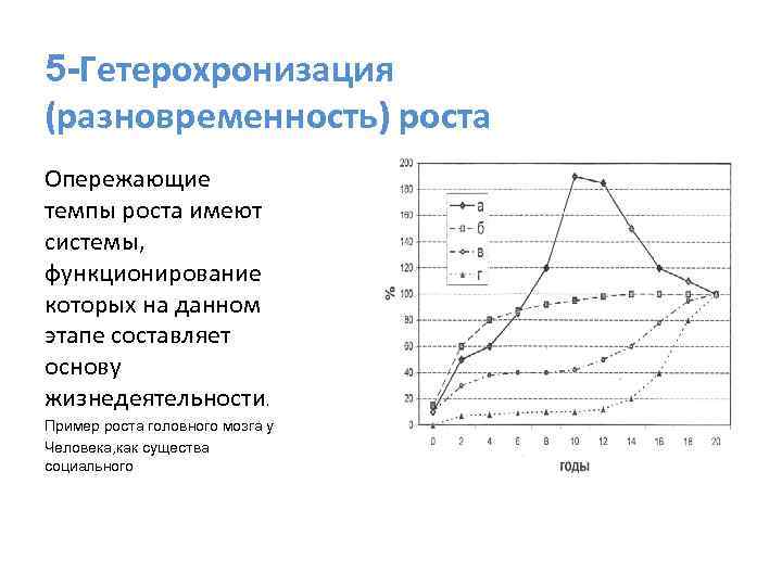 5 -Гетерохронизация (разновременность) роста Опережающие темпы роста имеют системы, функционирование которых на данном этапе