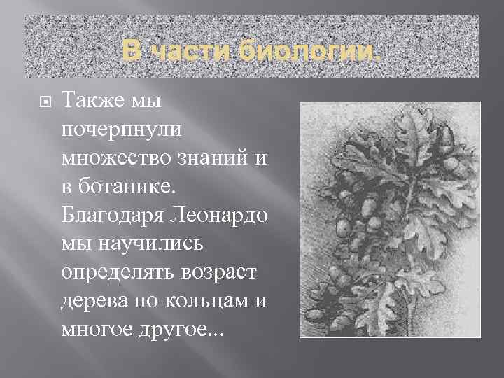 В части биологии. Также мы почерпнули множество знаний и в ботанике. Благодаря Леонардо мы