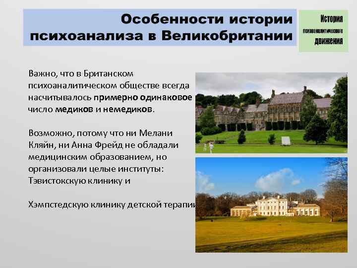 Важно, что в Британском психоаналитическом обществе всегда насчитывалось примерно одинаковое число медиков и немедиков.