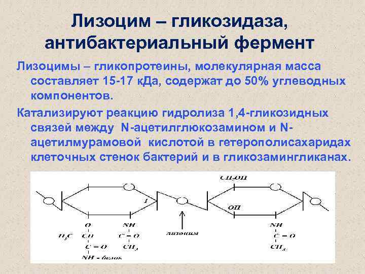 Фермент амилаза выберите ответ. Гликозидазы это биохимия. Реакции с гликозидазами. Амилаза реакция. Пример реакции гликозидазы.